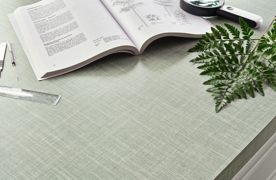 6131-58 Palma Fabric 920x600