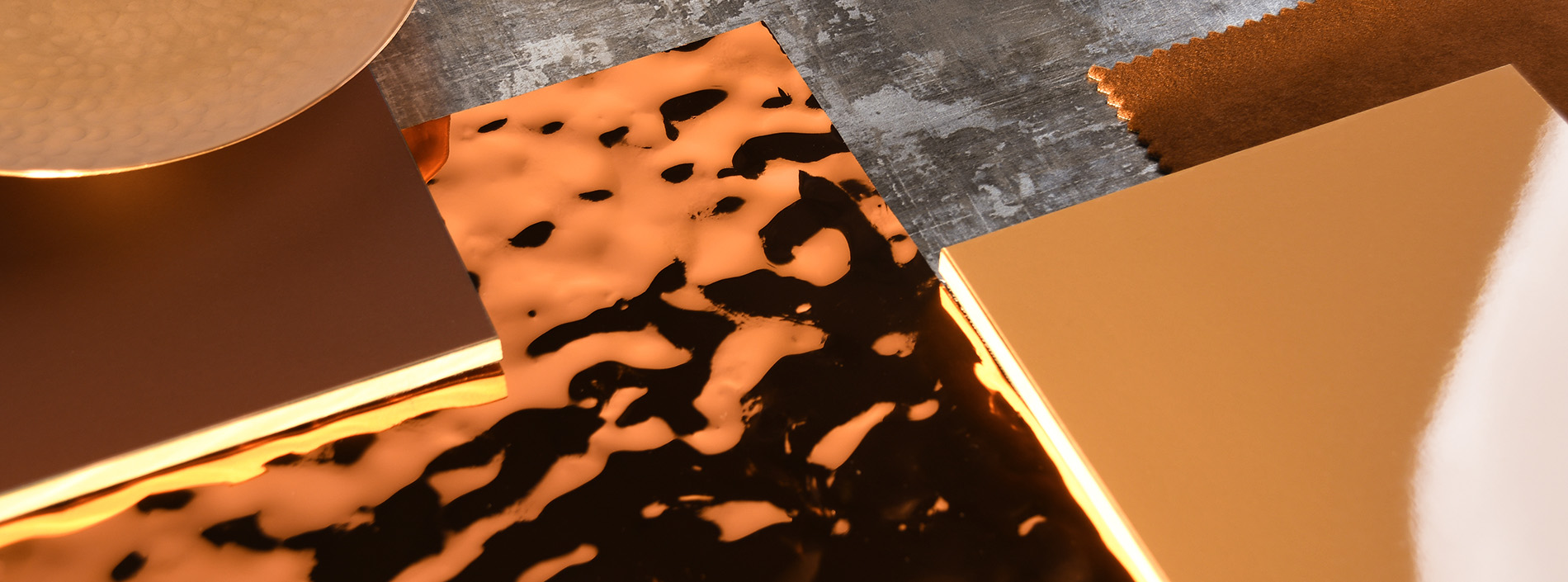 Homapal download brochure 1900x705