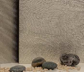 Castle.Proxies.IUpCardProxy?.CardImage?.AltText